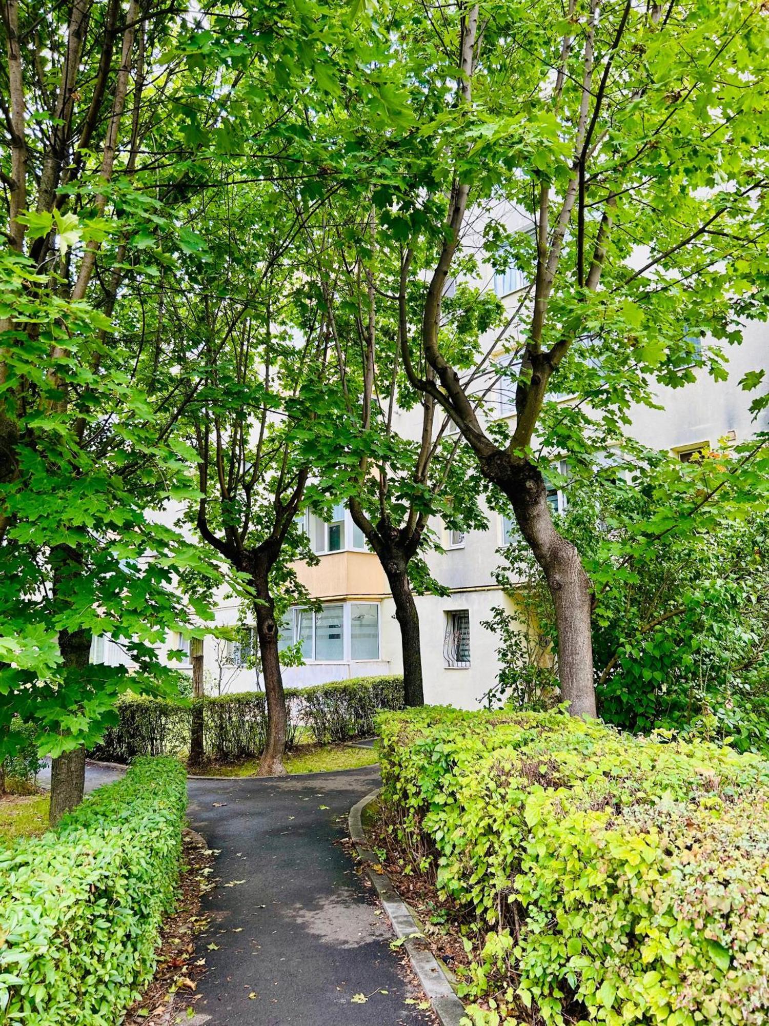 Chic Escape One - Free Parking Apartment Brasov Exterior photo